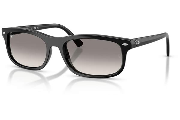 RAYBAN 2224 Γυαλια Ηλιου 