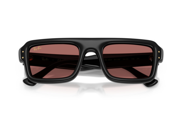 RAYBAN 4954 Γυαλια Ηλιου 