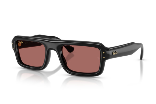 RAYBAN 4954 Γυαλια Ηλιου 