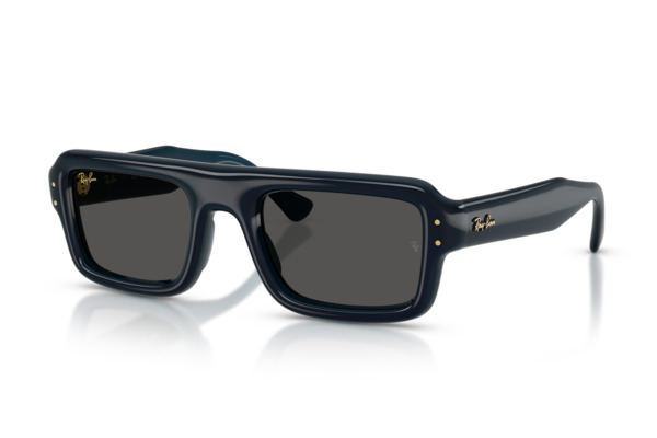 RAYBAN 4954 Γυαλια Ηλιου 