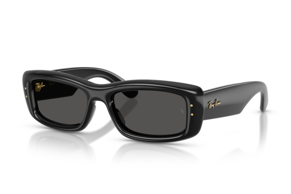 RAYBAN 4944 Γυαλια Ηλιου 