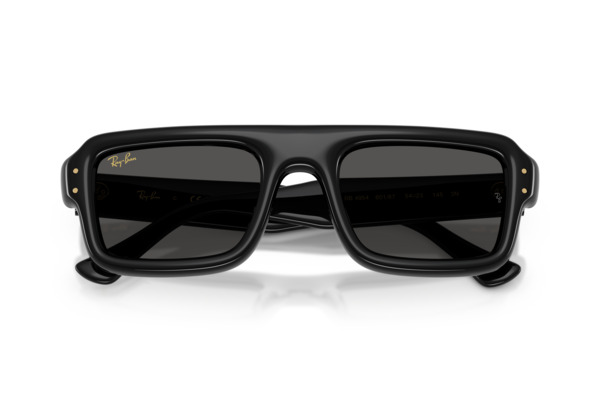 RAYBAN 4954 Γυαλια Ηλιου 