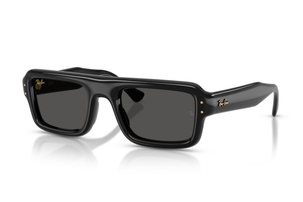 RAYBAN 4954 Γυαλια Ηλιου 