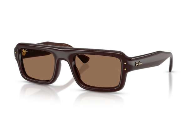 RAYBAN 4954 Γυαλια Ηλιου 