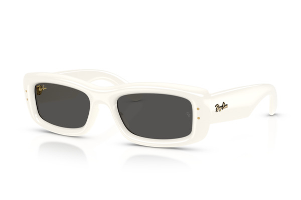 RAYBAN 4944 Γυαλια Ηλιου 