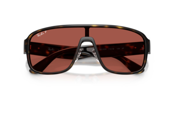 RAYBAN 2229 Γυαλια Ηλιου 