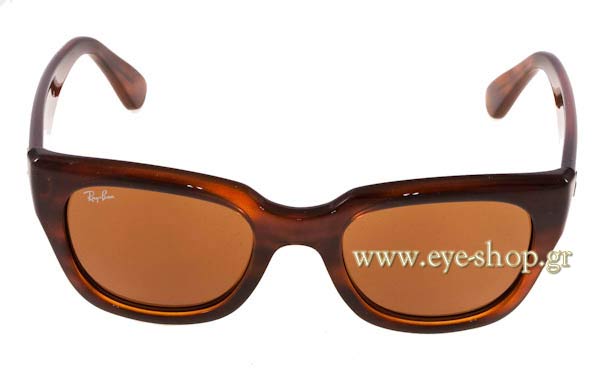 RAYBAN 4178 Γυαλια Ηλιου 