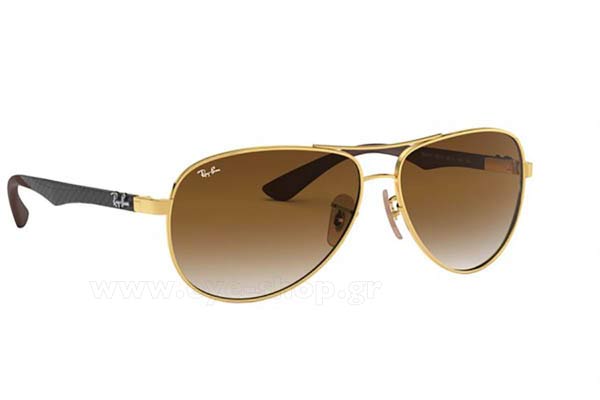 RAYBAN 8313 Γυαλια Ηλιου 