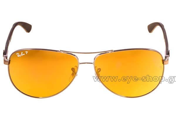 RAYBAN 8313 Γυαλια Ηλιου 