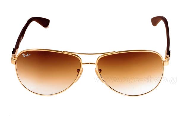 RAYBAN 8313 Γυαλια Ηλιου 