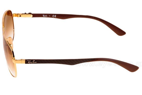 RAYBAN 8313 Γυαλια Ηλιου 
