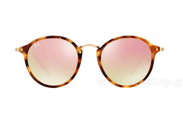 RAYBAN 2447 Γυαλια Ηλιου 