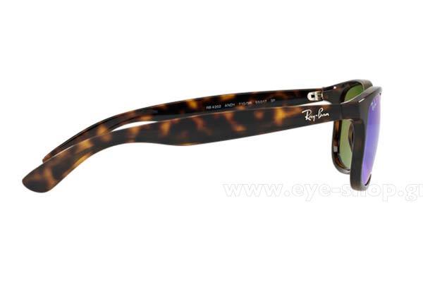 RAYBAN ANDY 4202 Γυαλια Ηλιου 