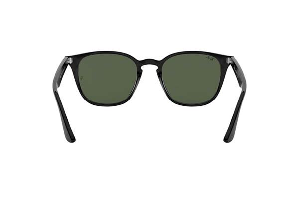 RAYBAN 4258 Γυαλια Ηλιου 
