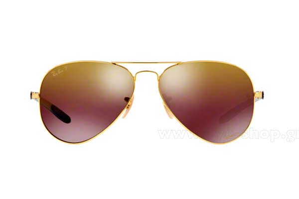 RAYBAN 8317CH Γυαλια Ηλιου 