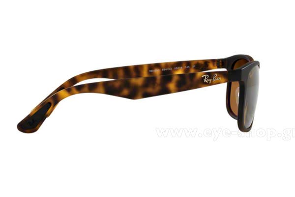 RAYBAN 4263 Γυαλια Ηλιου 