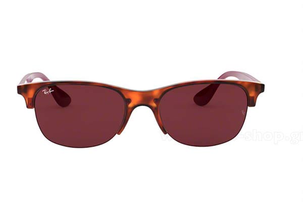 RAYBAN 4419 Γυαλια Ηλιου 