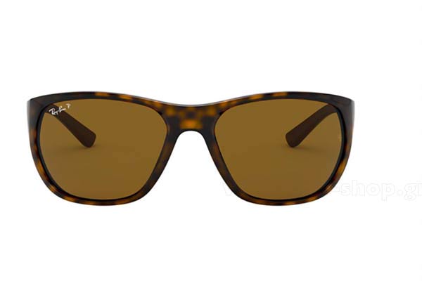 RAYBAN 4307 Γυαλια Ηλιου 