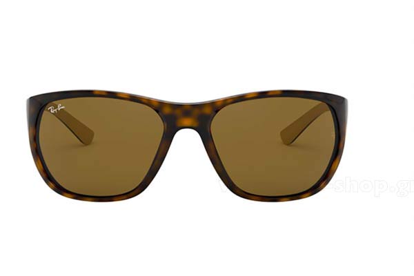 RAYBAN 4307 Γυαλια Ηλιου 