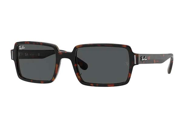 RAYBAN 2189 BENJI Γυαλια Ηλιου 