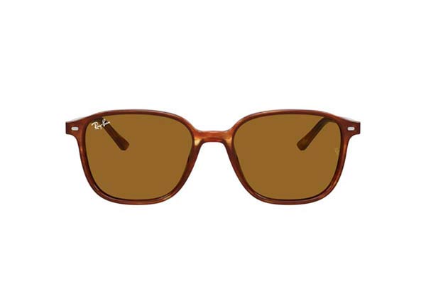 RAYBAN 2193 LEONARD Γυαλια Ηλιου 