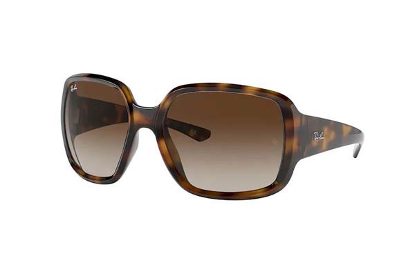 RAYBAN 4347 POWDERHORN Γυαλια Ηλιου 