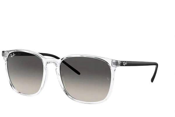 RAYBAN 4387 Γυαλια Ηλιου 