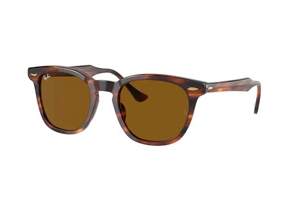 RAYBAN 2298 HAWKEYE Γυαλια Ηλιου 
