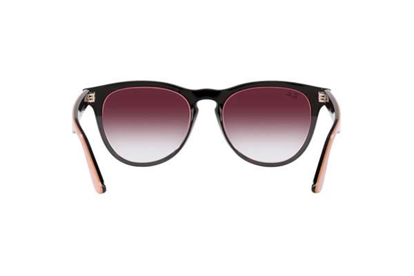 RAYBAN 4471 IRIS Γυαλια Ηλιου 