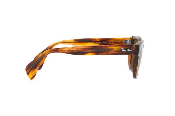 RAYBAN 0880S Γυαλια Ηλιου 
