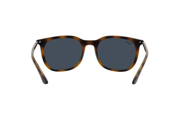 RAYBAN 4386 Γυαλια Ηλιου 