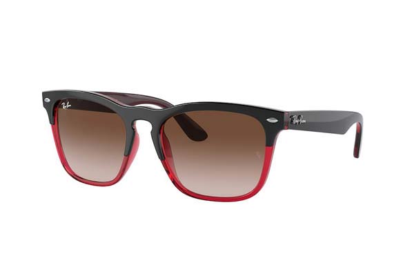 RAYBAN 4487 STEVE Γυαλια Ηλιου 
