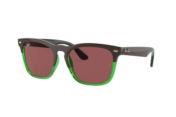 RAYBAN 4487 STEVE Γυαλια Ηλιου 