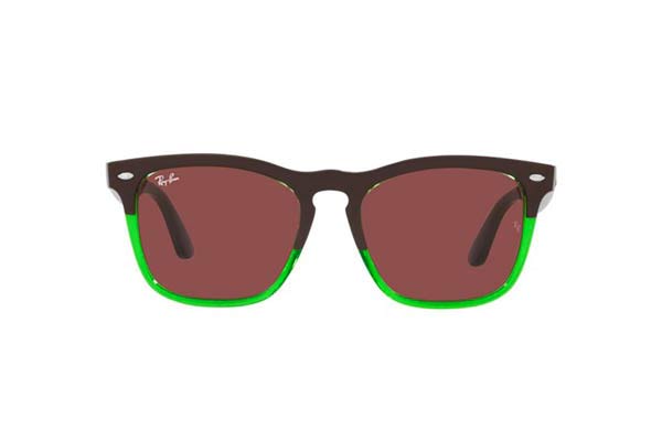 RAYBAN 4487 STEVE Γυαλια Ηλιου 