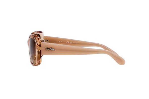 RAYBAN 4389 Γυαλια Ηλιου 