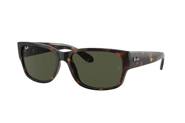 RAYBAN 4388 Γυαλια Ηλιου 