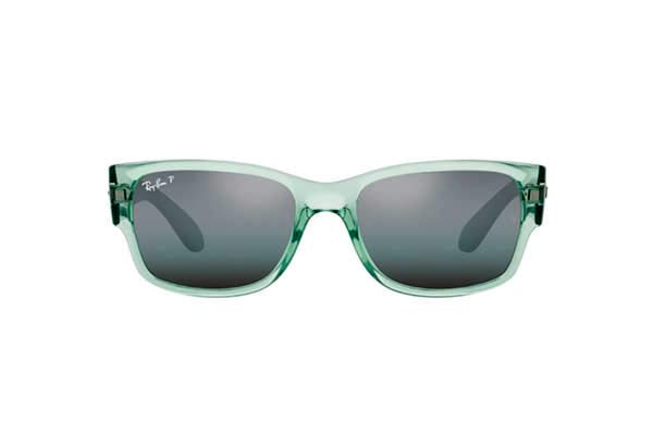 RAYBAN 4388 Γυαλια Ηλιου 