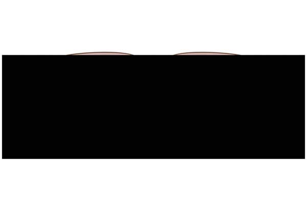 VERSACE 2298 Γυαλια Ηλιου 