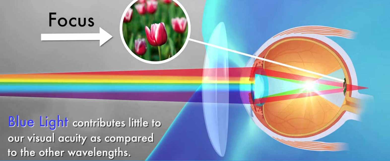 Φακοί με μπλε φίλτρο υπολογιστή για οθόνες LED