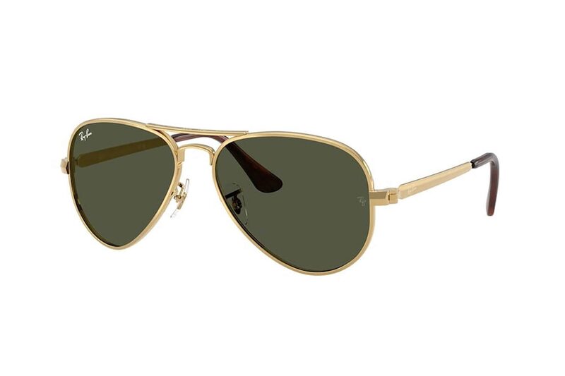 Ray-Ban RB3925 Aviator Max